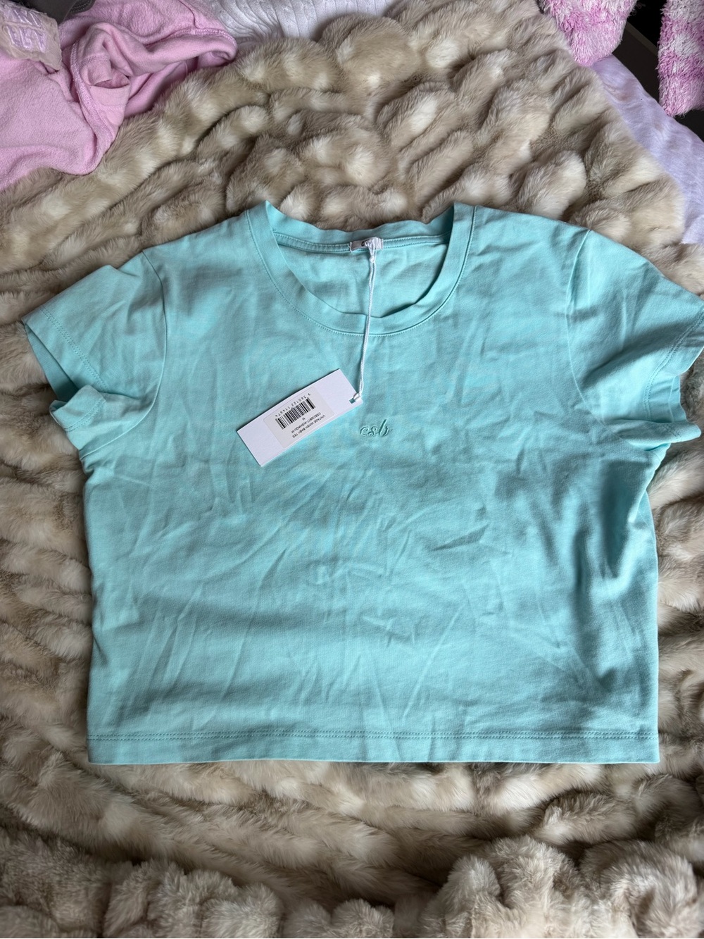 CSB Cropped Mint Tee with Subtle CSB Embroidery from pop up